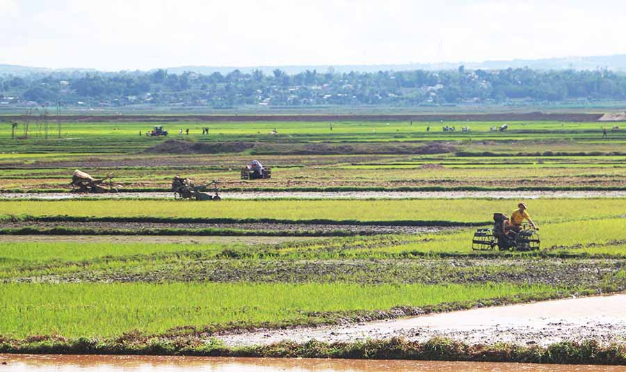  Người dân làm đất tại cánh đồng Klơ (thị trấn Đak Đoa) để chuẩn bị sản xuất vụ mùa. Ảnh: Q.T