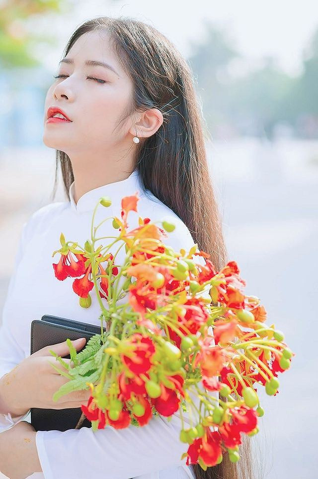 Tuổi hồng hồn nhiên thơ ngây, nô đùa nhau dưới gốc phượng vĩ khó ai có thể quên. Mùa phượng là sự bắt đầu và cũng là sự kết thúc. Bắt đầu cho lứa học sinh còn nhiều năm học nữa và kết thúc cho lứa học trò sắp rời mái trường thân yêu. Nghĩ đến đây thôi bất cứ ai cũng chợt cảm thấy bâng khuâng.