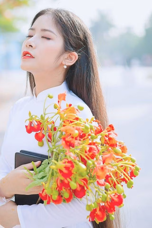 Tuổi hồng hồn nhiên thơ ngây, nô đùa nhau dưới gốc phượng vĩ khó ai có thể quên. Mùa phượng là sự bắt đầu và cũng là sự kết thúc. Bắt đầu cho lứa học sinh còn nhiều năm học nữa và kết thúc cho lứa học trò sắp rời mái trường thân yêu. Nghĩ đến đây thôi bất cứ ai cũng chợt cảm thấy bâng khuâng.