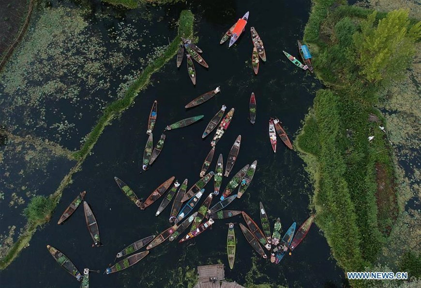  Chợ nổi Srinagar trên hồ Dal lở Ấn Độ là một trong những khu chợ nổi hấp dẫn trên thế giới. (Nguồn: Tân Hoa xã)