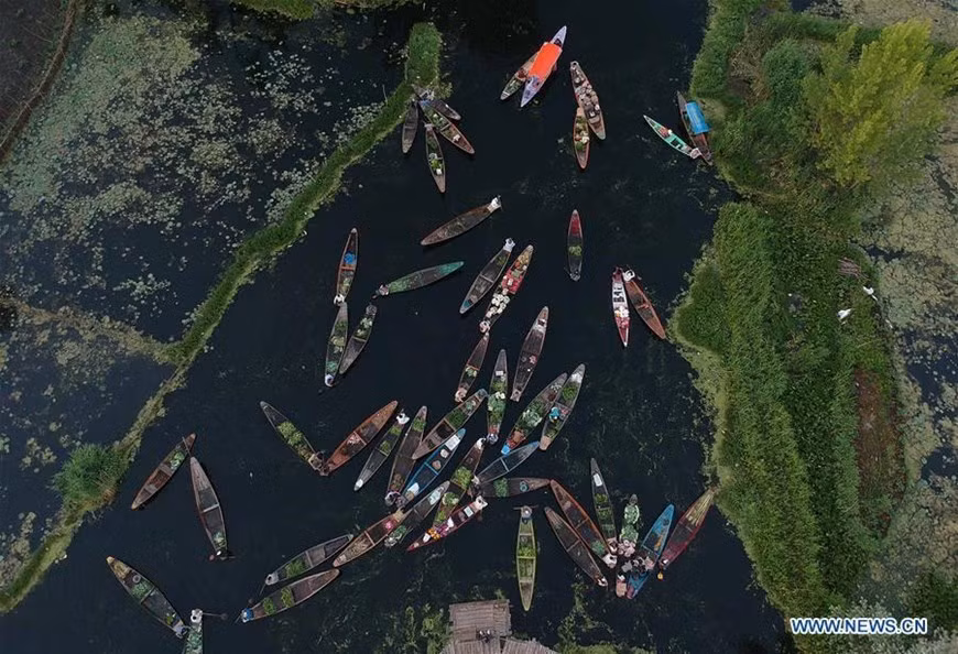  Chợ nổi Srinagar trên hồ Dal lở Ấn Độ là một trong những khu chợ nổi hấp dẫn trên thế giới. (Nguồn: Tân Hoa xã)