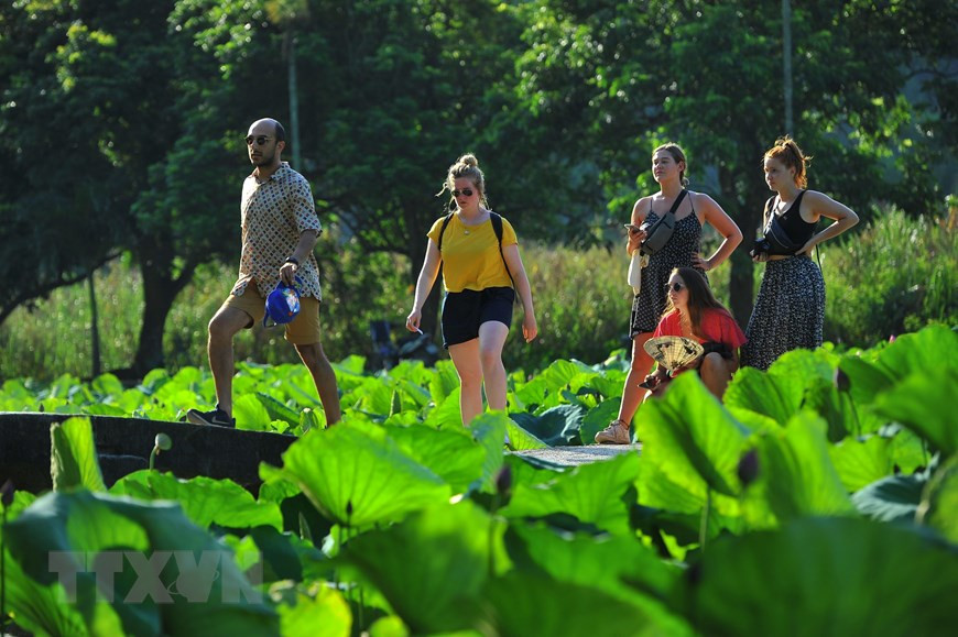 Nhiều du khách nước ngoài rất thích đến Bích Động vào mùa sen nở để được thưởng thức khung cảnh nên thơ tại đây