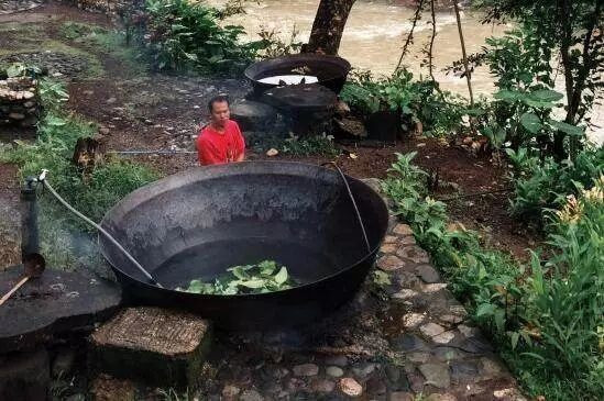  Bước 2: Bắc bếp, thả rau