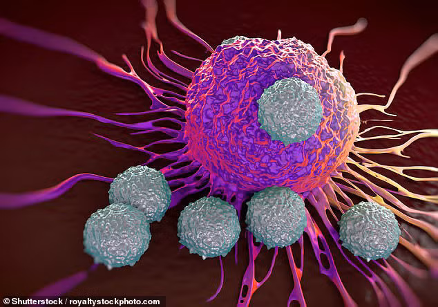 Có những bệnh ung thư có thể tầm soát để phát hiện sớm, điều trị kịp thời Ảnh: Shutterstock