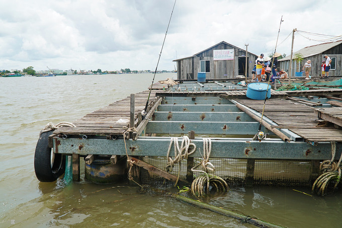 Bè được dựng giữa lòng sông, không dùng bê tông nhưng vẫn kiên cố. Lối đi dành cho du khách lót ván ép, hẹp. Các bè được chia làm nhiều khu vực và kích thước khác nhau. Mỗi khu vực nuôi một loại cá, bao quanh bằng vách ngăn hoặc lưới. Bè được dựng giữa lòng sông, không dùng bê tông nhưng vẫn kiên cố. Lối đi dành cho du khách lót ván ép, hẹp. Các bè được chia làm nhiều khu vực và kích thước khác nhau. Mỗi khu vực nuôi một loại cá, bao quanh bằng vách ngăn hoặc lưới.
