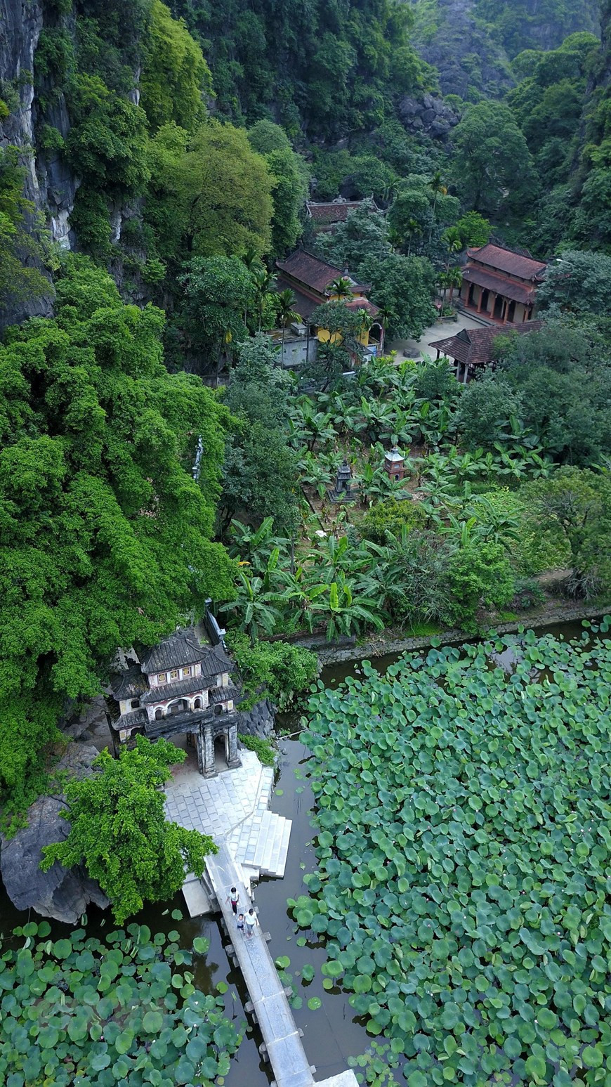 Đầm sen uốn lượn dưới chân núi như nét vẽ mềm mại không chỉ làm khung cảnh thêm sống động mà còn toát lên vẻ thanh tịnh chốn tâm linh. 