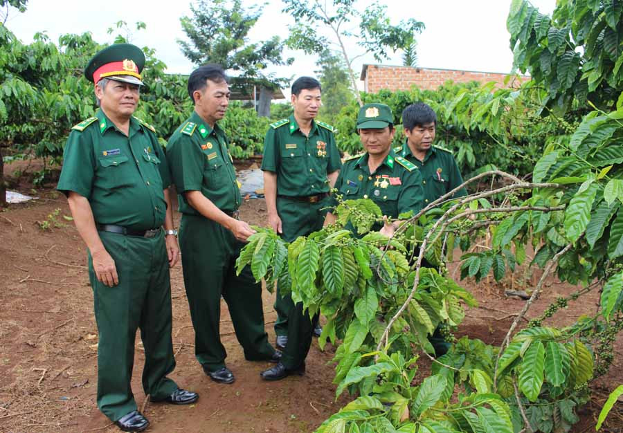 Hội Cựu thanh niên xung phong TP. Pleiku tham quan mô hình kinh tế của ông Vũ Đức Tuyến (thứ 2 từ phải sang). Ảnh: T.B Hội Cựu thanh niên xung phong TP. Pleiku tham quan mô hình kinh tế của ông Vũ Đức Tuyến (thứ 2 từ phải sang). Ảnh: T.B