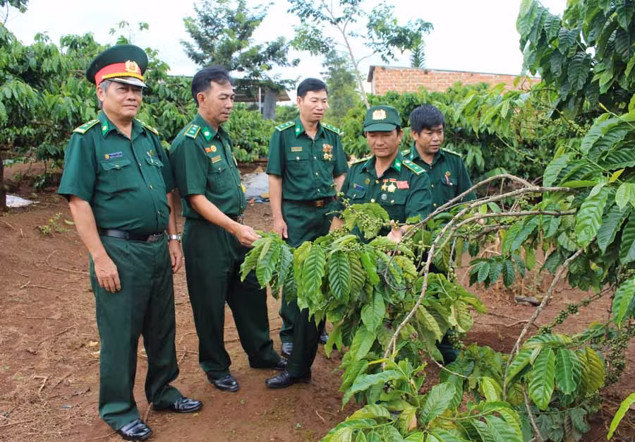 Hội Cựu thanh niên xung phong TP. Pleiku tham quan mô hình kinh tế của ông Vũ Đức Tuyến (thứ 2 từ phải sang). Ảnh: T.B