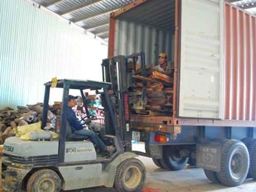 Lô hàng gỗ quý lúc bị tạm giữ để khám xét tại cảng Đà Nẵng - Ảnh: Dân trí