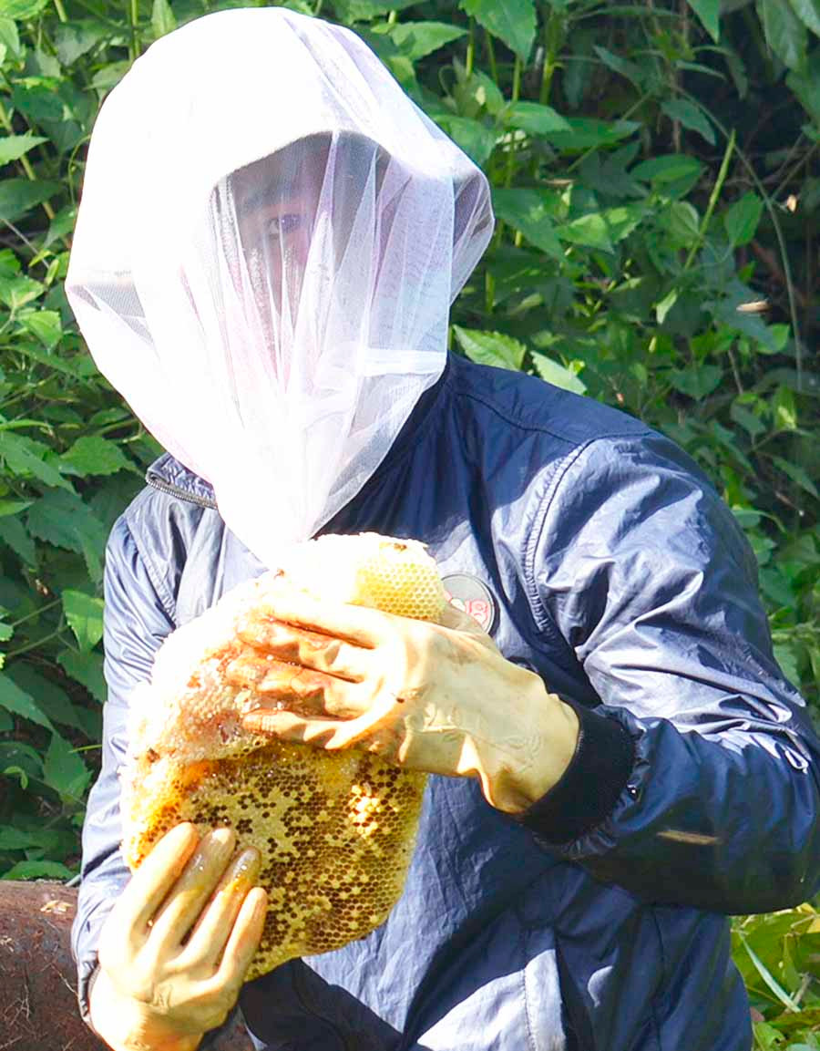 Mỗi vụ mật, những thợ “săn” ong có thể kiếm được cả chục triệu đồng từ bán mật ong. Ảnh: K.T