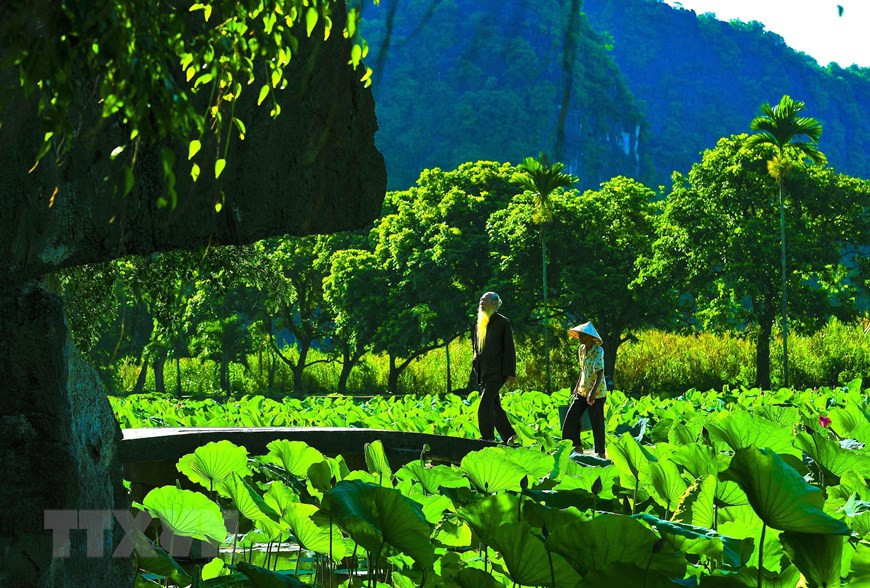 Nhiều du khách nước ngoài rất thích đến Bích Động vào mùa sen nở để được thưởng thức khung cảnh nên thơ tại đây.