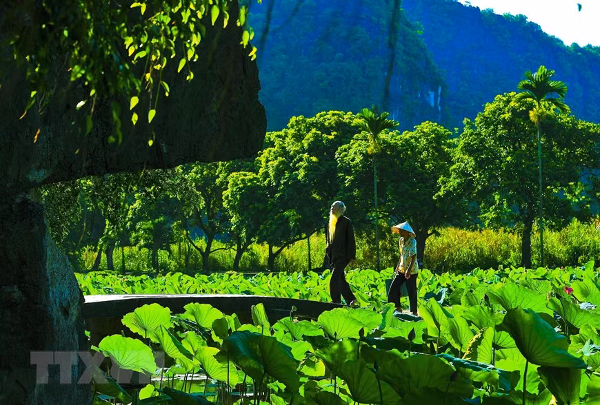 Nhiều du khách nước ngoài rất thích đến Bích Động vào mùa sen nở để được thưởng thức khung cảnh nên thơ tại đây.