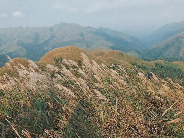 FB: Quynh Anh FB: Quynh Anh