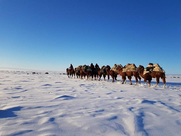 Đoàn người và lạc đà của Baigalmaa đang vượt sa mạc để đặt chân tới Kazakhstan