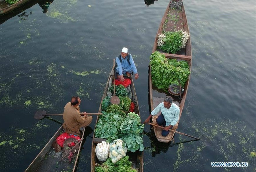  Người dân nơi đây chủ yếu buôn bán mặt hàng rau củ. (Nguồn: Tân Hoa xã)