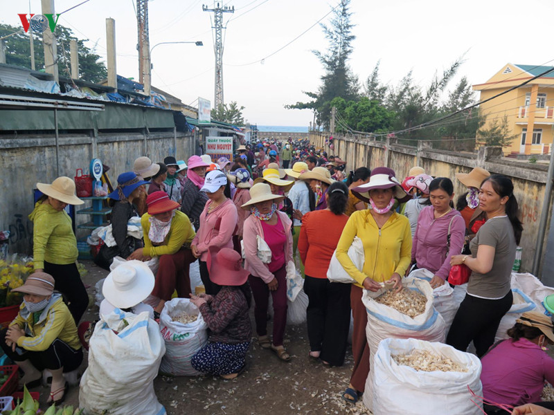 Chợ tỏi Lý Sơn là điểm hấp dẫn đối với du khách.