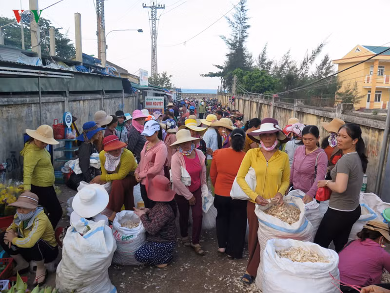 Chợ tỏi Lý Sơn là điểm hấp dẫn đối với du khách.