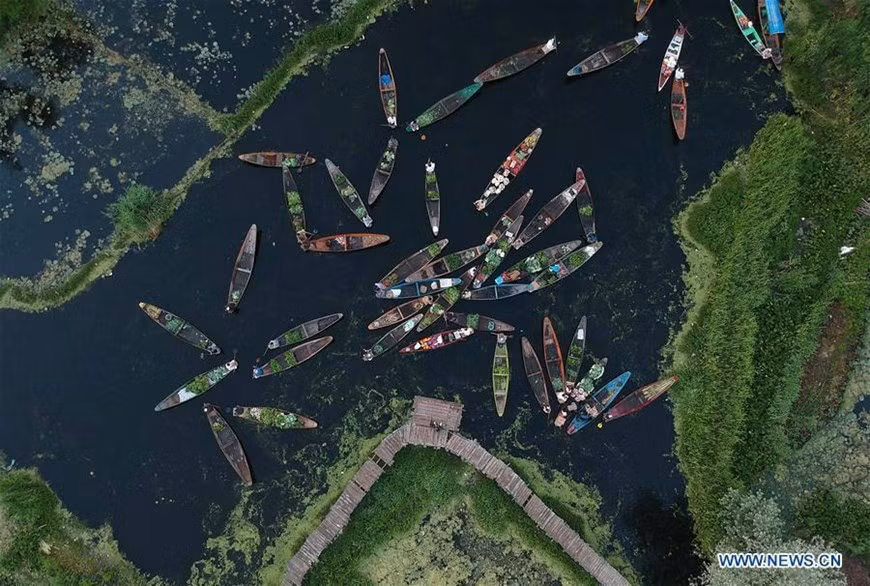  Hình ảnh thường thấy ở chợ nổi là những người bán hàng sẽ chạm mũi thuyền lại gần nhau để trả giá cho các món hàng. Cuộc nói chuyện kết thúc khi họ thống nhất được mức giá hợp lý. (Nguồn: Tân Hoa xã)