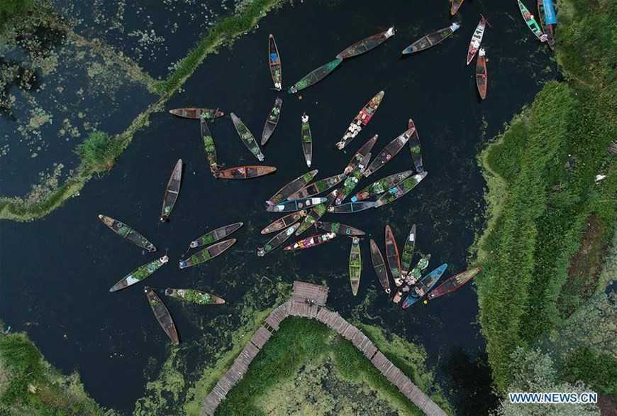  Hình ảnh thường thấy ở chợ nổi là những người bán hàng sẽ chạm mũi thuyền lại gần nhau để trả giá cho các món hàng. Cuộc nói chuyện kết thúc khi họ thống nhất được mức giá hợp lý. (Nguồn: Tân Hoa xã)