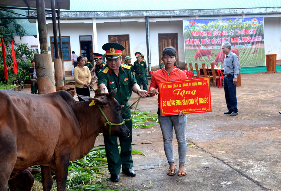 Trao bò cho các hộ gia đình. Ảnh: Vĩnh Hoàng