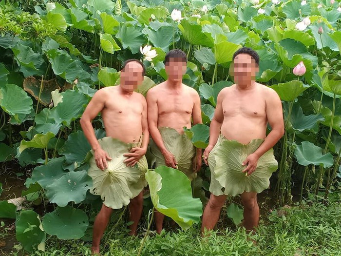 Hình ảnh nhóm nam trung niên chụp bên hoa sen gây chú ý trên mạng. Ảnh: Số Hưởng