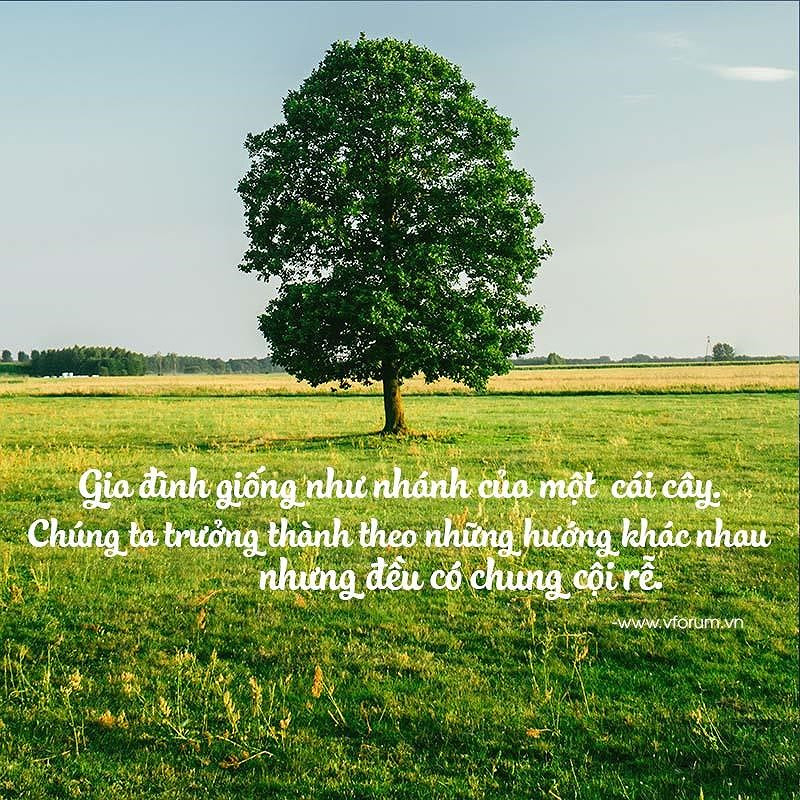 28/6 - ngày mọi người trong gia đình quan tâm đến nhau, xã hội quan tâm đến trẻ nhỏ... 28/6 - ngày mọi người trong gia đình quan tâm đến nhau, xã hội quan tâm đến trẻ nhỏ...