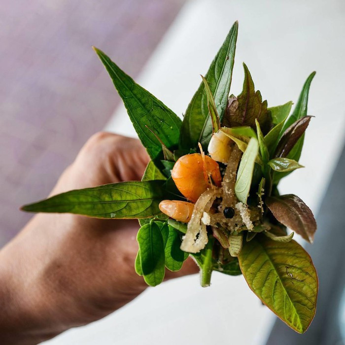 Ảnh: Pyzamadeinpoland. Ảnh: Pyzamadeinpoland.