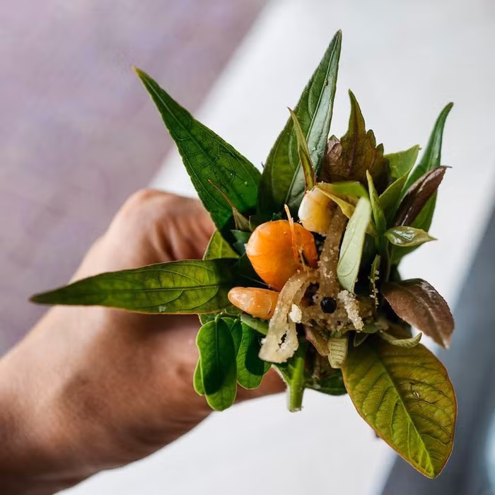 Ảnh: Pyzamadeinpoland.