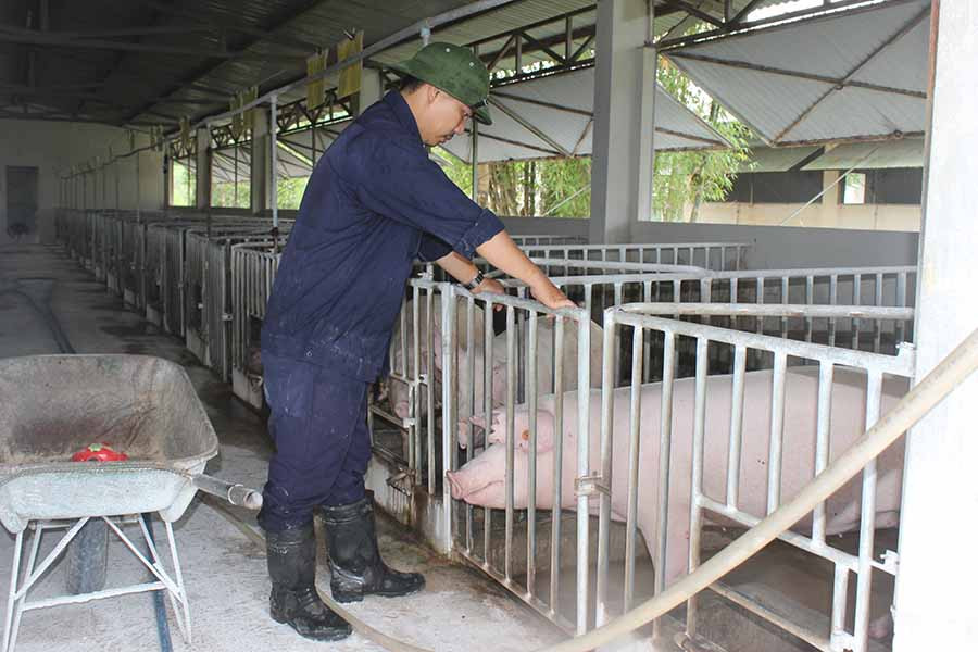  Được tập huấn, người chăn nuôi có thêm kiến thức phòng-chống bệnh dịch tả heo châu Phi. Ảnh: N.N