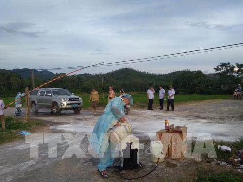 60 tỉnh, thành phố có ổ dịch tả lợn châu Phi. Ảnh: Văn Tý-TTXVN  60 tỉnh, thành phố có ổ dịch tả lợn châu Phi. Ảnh: Văn Tý-TTXVN