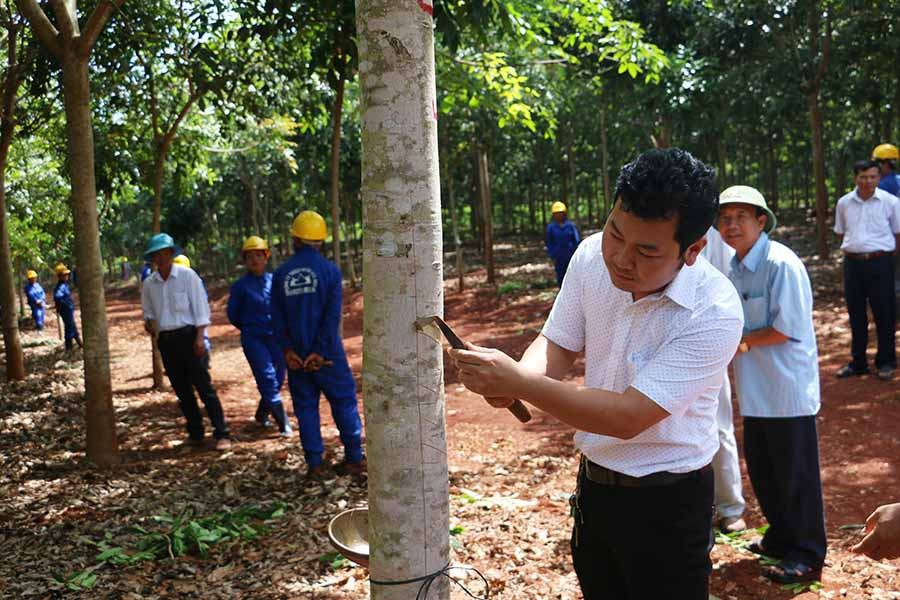 Lãnh đạo Công ty tiến hành mở miệng lần khai thác đầu tiên. Ảnh: Q.T Lãnh đạo Công ty tiến hành mở miệng lần khai thác đầu tiên