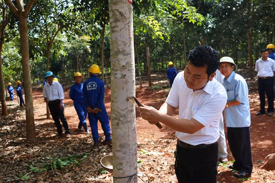  Lãnh đạo Công ty tiến hành mở miệng lần khai thác đầu tiên