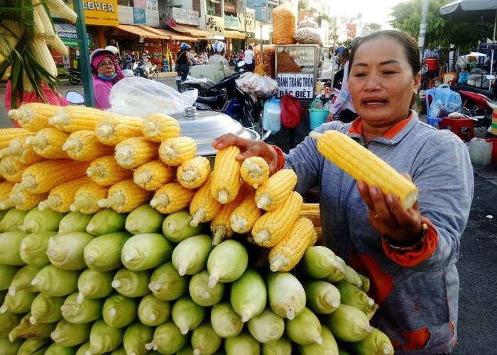  Chị Hà bán bắp ngay vòng xoay Phú Lâm. Địa điểm bán nhộn nhịp đông người qua lại cũng là lí do chị bán được 600 - 700 trái/ngày - Ảnh: Trịnh Thanh