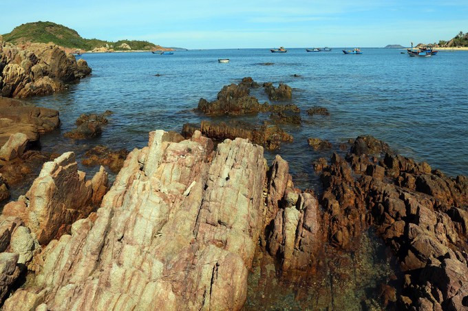  Được mệnh danh 