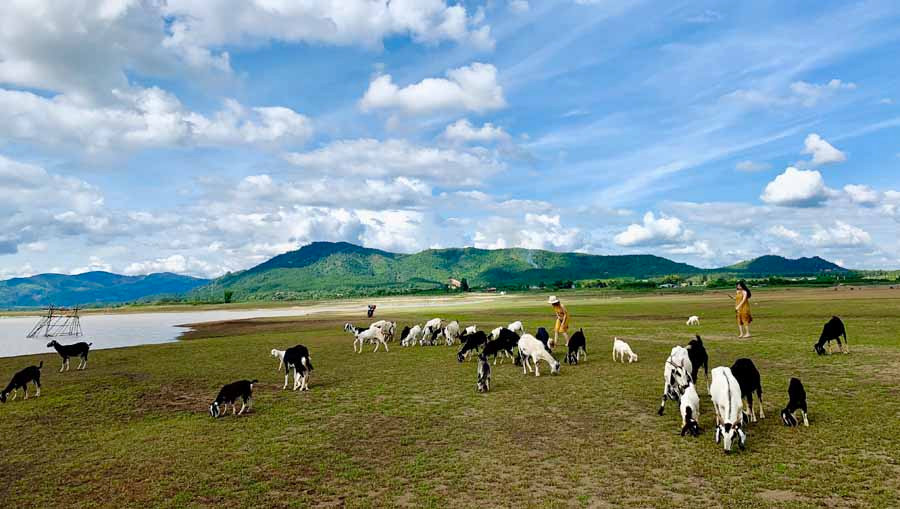 Khung cảnh đậm chất du mục khiến nhiều bạn trẻ mê mẩn. Ảnh: P.V Khung cảnh đậm chất du mục khiến nhiều bạn trẻ mê mẩn. Ảnh: P.V