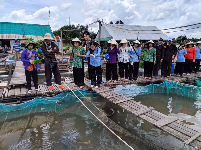 Hiện bè của ông Bon nuôi hàng chục loại cá đặc sản nước ngọt như cá hồng thuỷ, cá chạch lấu, cá hô, cá éc, cá lăng, cá vồ đém, cá xác sọc… Nhiều loài cá lạ khác du khách có thể tham quan tại đây gồm hồng vỹ mỏ vịt, cá cọp, cá Koi ngũ sắc, trê hồng, Hỏa Long (chạch lửa).