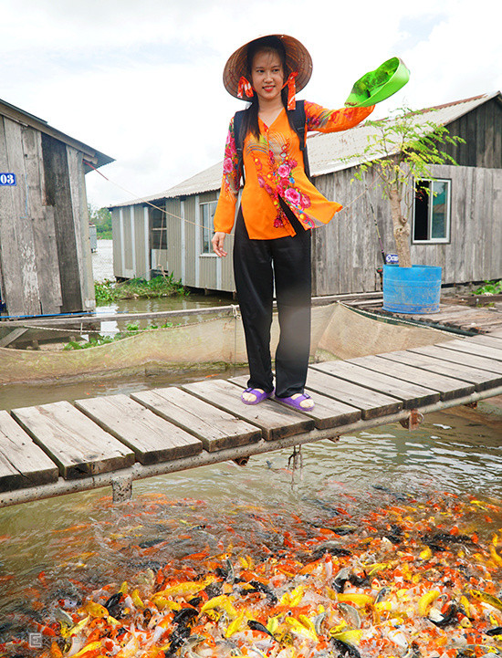 Du khách sẽ được hướng dẫn cho cá ăn, tìm hiểu về cách sinh sống của các loài cá cũng như nuôi cá trên bè. Các làng bè ở Cồn Sơn thu phí tham quan 10.000 đồng mỗi khách. Nếu có thời gian, bạn có thể sắp xếp lịch trình để khám phá những vườn trái cây ở Cồn Sơn. Du khách sẽ được hướng dẫn cho cá ăn, tìm hiểu về cách sinh sống của các loài cá cũng như nuôi cá trên bè. Các làng bè ở Cồn Sơn thu phí tham quan 10.000 đồng mỗi khách. Nếu có thời gian, bạn có thể sắp xếp lịch trình để khám phá những vườn trái cây ở Cồn Sơn.