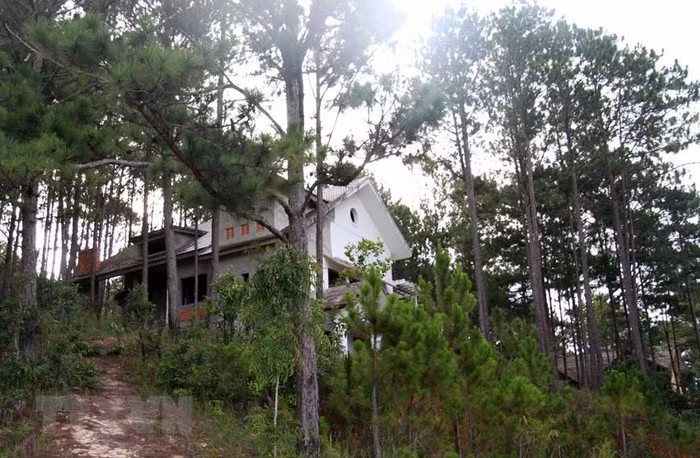 Đến nay, còn rất nhiều dự án không tiếp tục triển khai, hàng chục căn biệt thự kiến trúc kiểu Pháp cũng đang bị bỏ hoang, phát sinh nhiều vấn đề tệ nạn kèm theo. (Ảnh: Đặng Tuấn/TTXVN) 