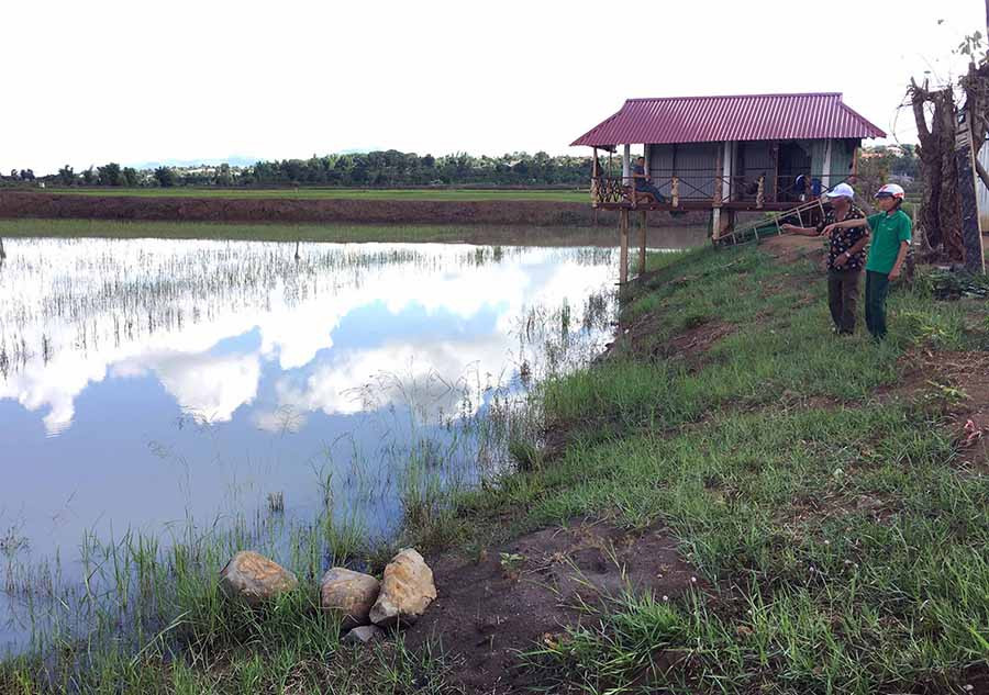  Gia đình ông Lưng (làng Piơm, thị trấn Đak Đoa) đã thành công bước đầu nhờ chuyển đổi một phần diện tích trồng lúa sang nuôi cá. Ảnh: V.T