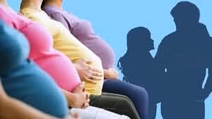 Ảnh minh họa (nguồn internet)