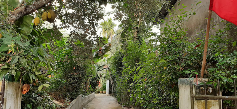 Trong Vĩ Dạ luôn xanh um cây cối Trong Vĩ Dạ luôn xanh um cây cối