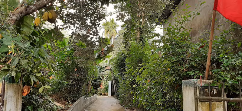 Trong Vĩ Dạ luôn xanh um cây cối