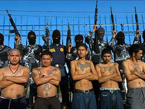 Các băng nhóm ma túy là một vấn nạn đau đầu tại Mexico. Từ tháng 12-2006, hơn 60.000 người đã bị giết kể từ khi Tổng thống Fernando Calderon phát động chiến dịch rộng lớn chống các băng nhóm ma túy.