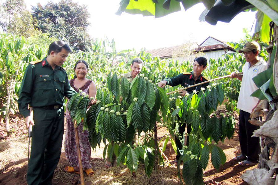 Tận tình hướng dẫn người dân chăm sóc cây trồng. Ảnh: P.D