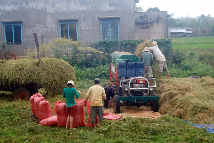 Ảnh: Nguyễn Diệp