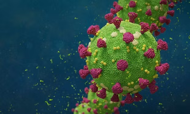 Ảnh minh họa. Nguồn: drugtargetreview.com