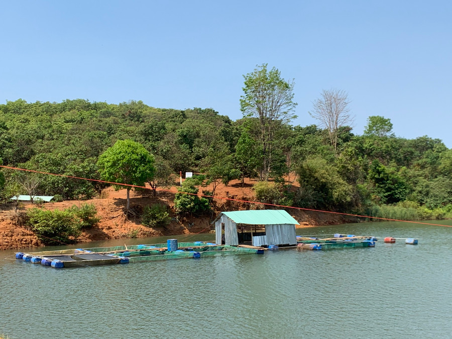 Những lồng nuôi cá của người dân làng Nú, xã Ia Khai. Ảnh: Anh Huy