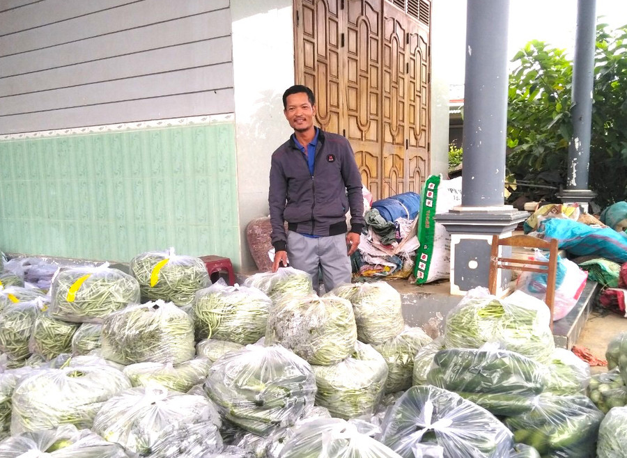 Ông Hoàng Văn Biên (thôn 2, xã Đak Hlơ, huyện Kbang) đóng gói rau quả cung ứng cho siêu thị. Ảnh Ngọc Minh 