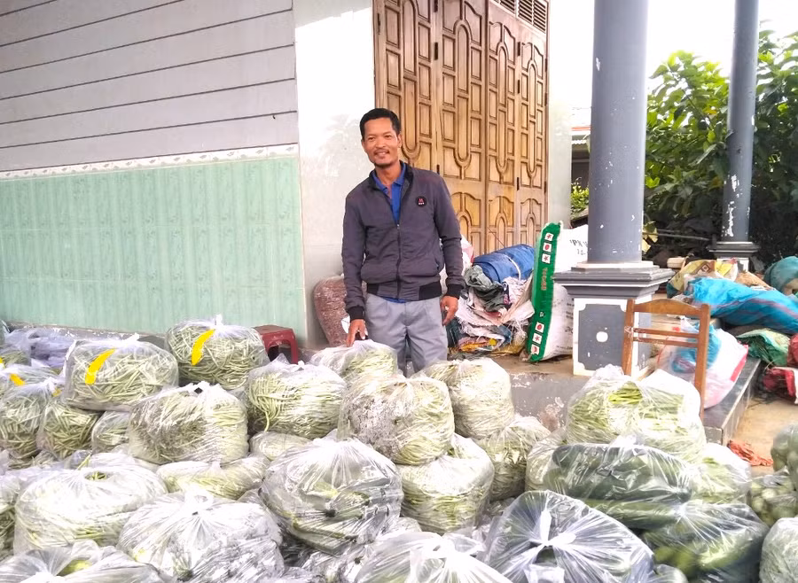 Ông Hoàng Văn Biên (thôn 2, xã Đak Hlơ, huyện Kbang) đóng gói rau quả cung ứng cho siêu thị. Ảnh Ngọc Minh 
