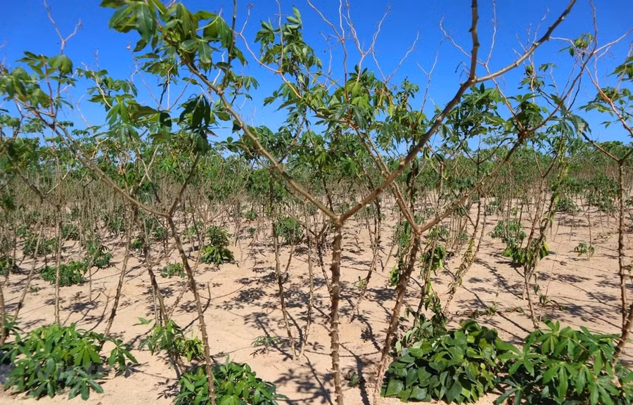 Ảnh minh họa. Nguồn ảnh: Hùng Võ/Vietnam+